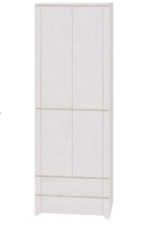 Шкаф для одежды 2-х дверный Твист 01