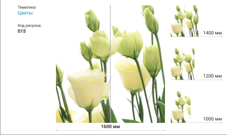 Шкаф-Купе 2-х Створчатый Тиффани Рамир КФ-001 1000/1200/1400/1500/1600/1800/2100/2400 мм/Разные Цвета